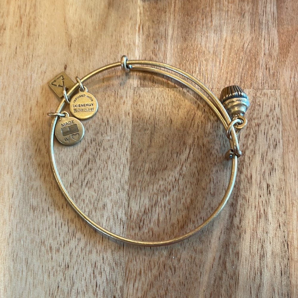 Alex And Ani Cupcake Bangle - image 3